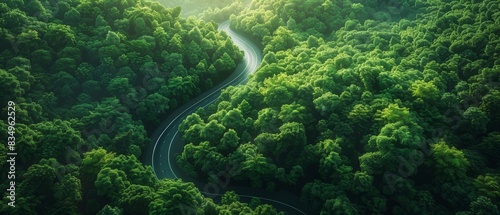Aerial view of green energy pathways, Earth's roadmap to sustainability, lush forest, winding road