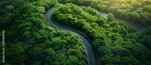 Green energy pathways through lush forest, aerial view, sustainability roadmap, winding road