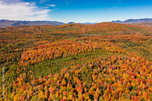 Autumn colorful forest, mountains on the horizon. New Hampshire, USA. Drone photo.