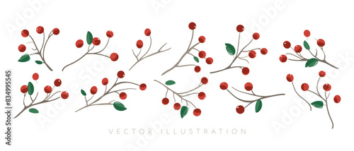 Collection of cartoon red berries loganberries, cranberries, viburnum, rowan, stoneberry. Set berry isolated. Hand drawn design elements in doodle style