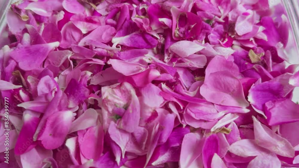 Rose petals lie on flat surface forming pink background. Slight camera movement. Rose petals lie on flat surface forming pink background. Slight camera movement.