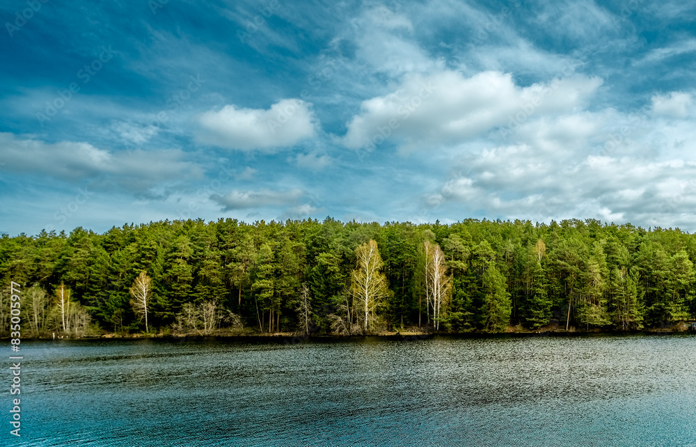 A green forest on the riverbank against the sky. A green forest on the riverbank against the sky.
