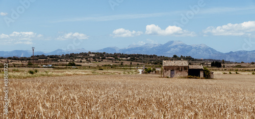 Landscape in Mallorca with cabin and mountains in distance.