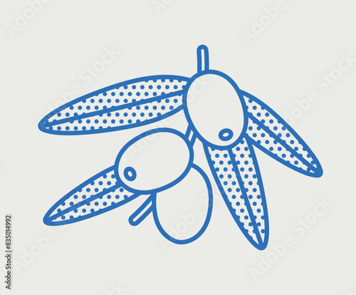 Vector olive branch illustration. Line art, retro. Plants and herbs for cosmetics.