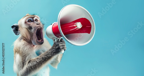 monkey holding a megaphone. screaming, Promotion, action, holiday, ad, job questions. Vacancy. Business discount concept, communication, information, news, team media	
 photo