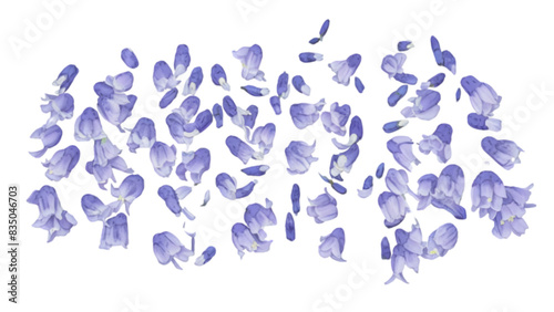 Watercolor Bluebell Flowers Vector Illustration on Transparent Background	