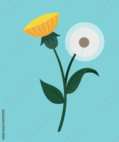 dandelion flower spring illustration