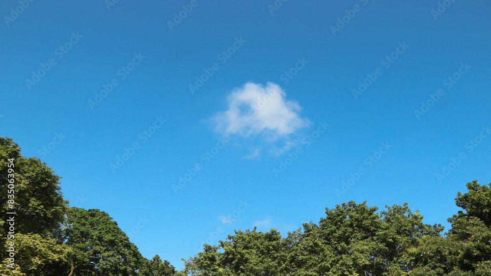 Aerial view of fluffy clouds and blue sky over the city Aerial view of fluffy clouds and blue sky over the city