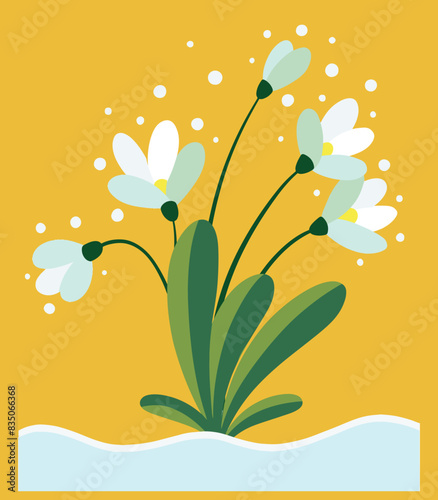 snow drop blossom flower illustration