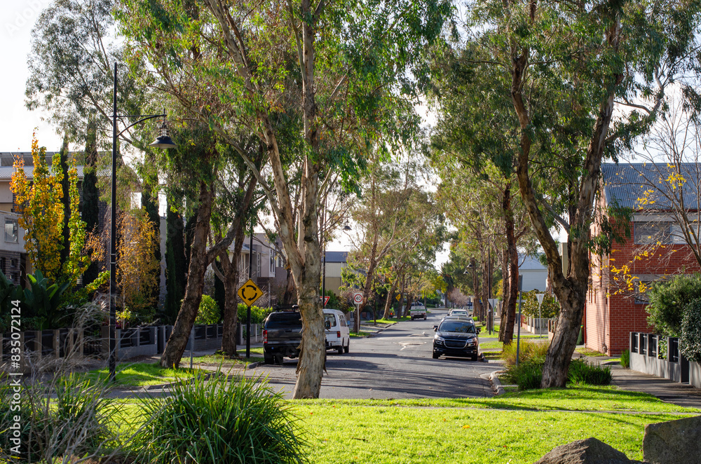 A beautiful residential neighborhood street lined with houses and large eucalyptus gum trees in Maribyrnong, a suburb of Melbourne, VIC Australia. An Australian suburban road with cars parked outdoors