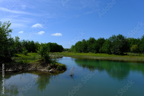 river in the forest