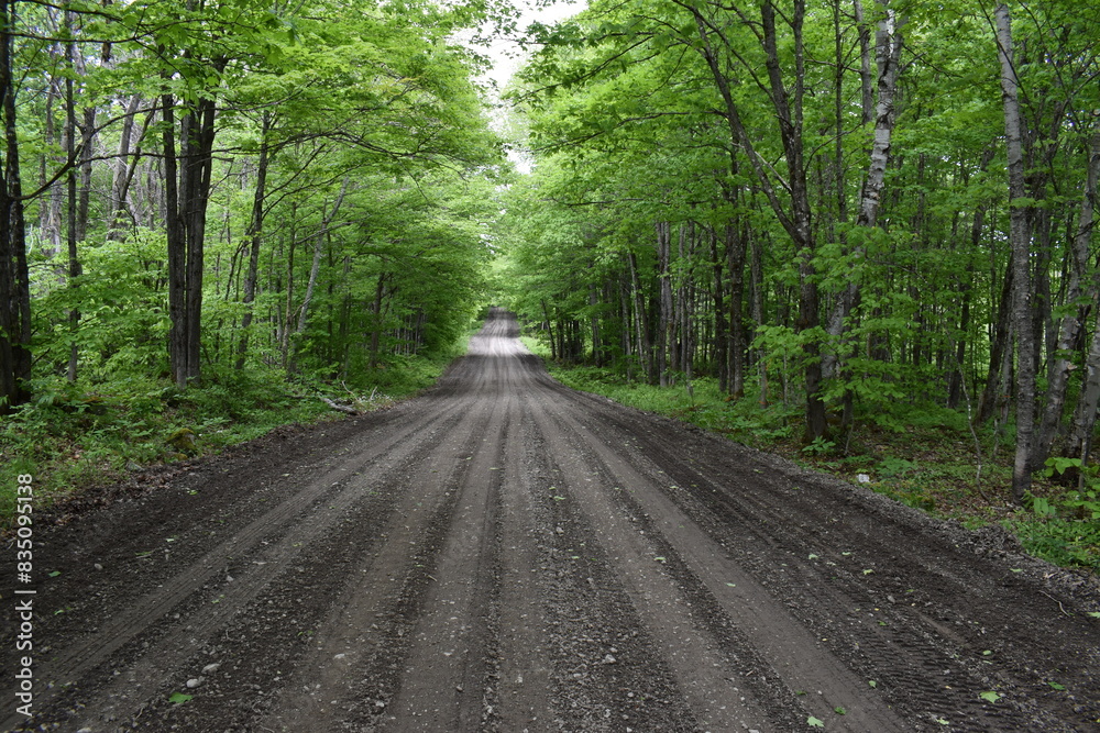 A deserted road in summer, Sainte-Apolline, Québec, Canada A deserted road in summer, Sainte-Apolline, Québec, Canada