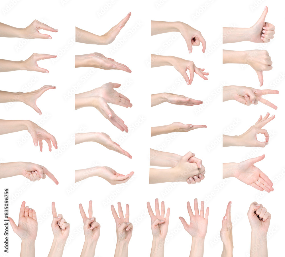 Set of woman hand on white background isolation Set of woman hand on white background isolation