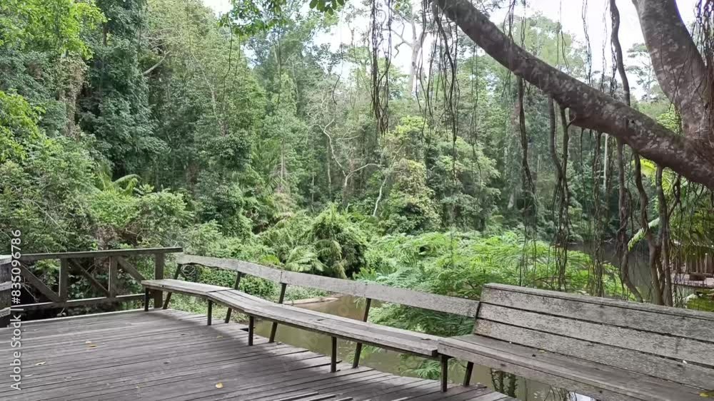 wooden chair for resting on terrace patio balcony near river lake pond wooden chair for resting on terrace patio balcony near river lake pond