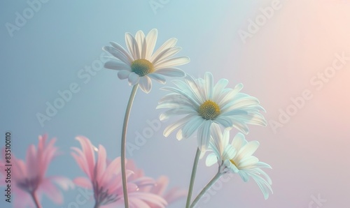 Closeup photo of daisies in soft pastel colors