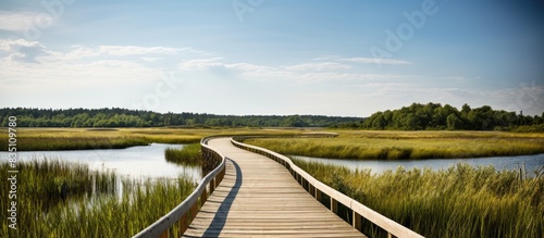 Scenic boardwalk trail wind...