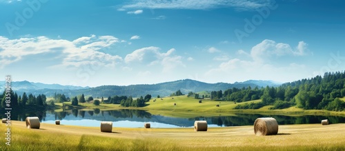 Sunny summer day landscape ...