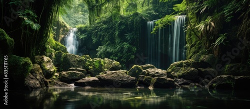 Nature scene with a picture...
