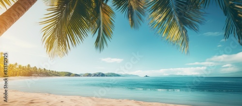 Blurred Palm trees and a tropical beach create a summery vacation vibe in the background of this image, ideal for copy space integration. © vxnaghiyev