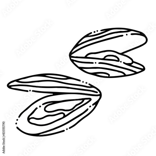 Illustration au trait noir de moules