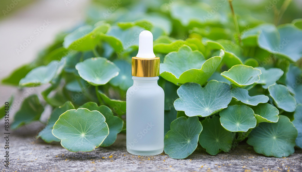 White frosted glass dropper, serum bottle, Centella asiatica leaves. Natural cosmetic product. White frosted glass dropper, serum bottle, Centella asiatica leaves. Natural cosmetic product.