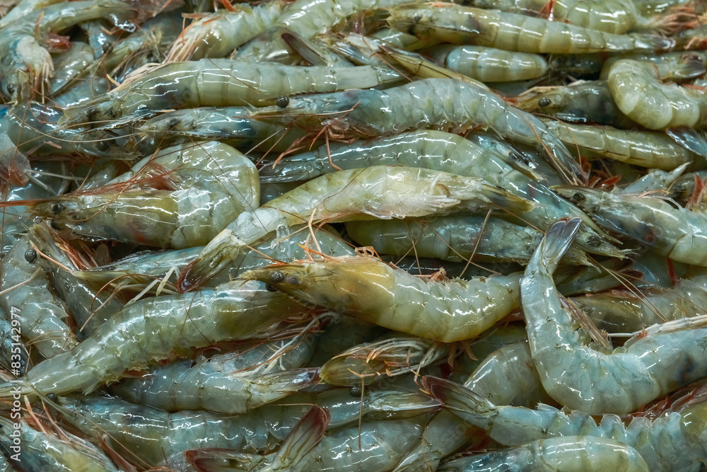 Raw Fresh Prawns Seafood on Ice Stand at Market. Close Up Raw Fresh Prawns Seafood on Ice Stand at Market. Close Up