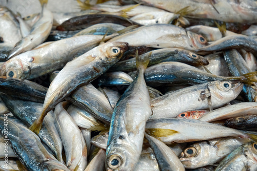 Raw Fresh Mullet Seafood on Ice Stand at Market. White meat fish