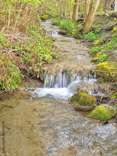waterfall in the forest