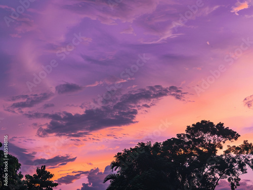 beautiful purple sky when sunset