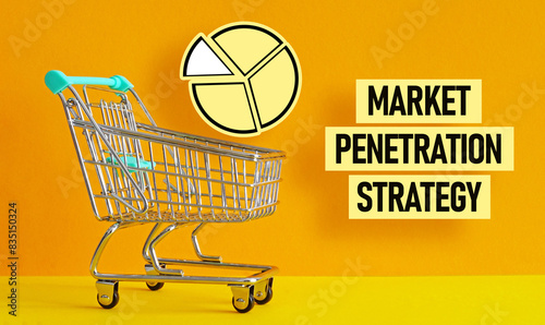 Market penetration strategy is shown as the business concept