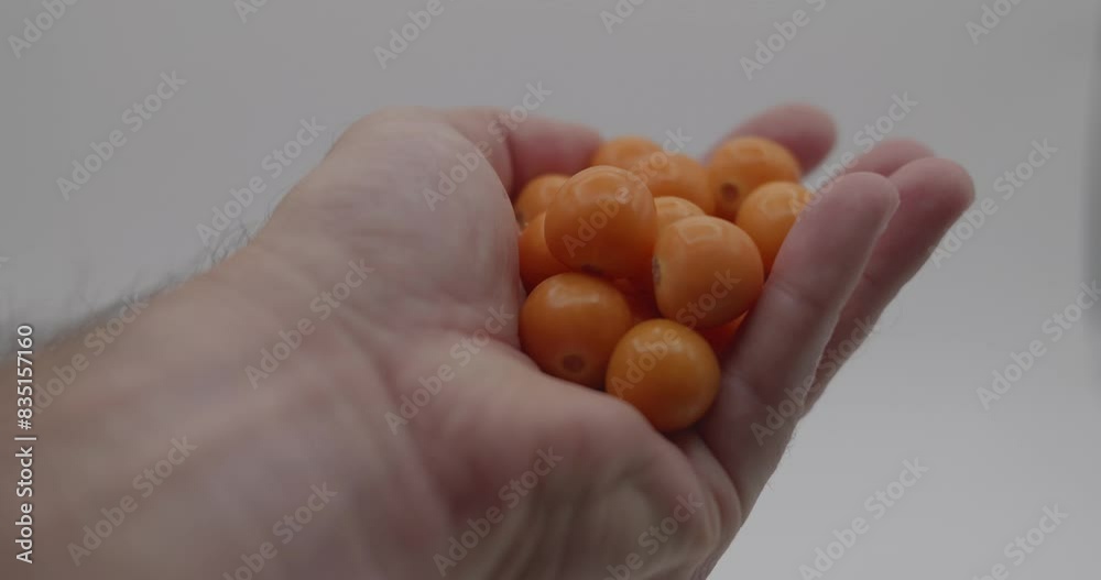 Golden berries in a persons hand in front of a white background Golden berries in a persons hand in front of a white background
