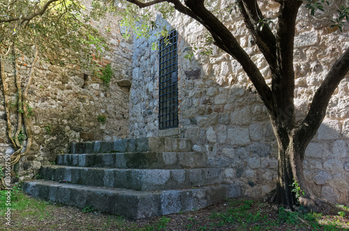 Metal grating entrance to a stone ancient building in the shade of an olive tree 
