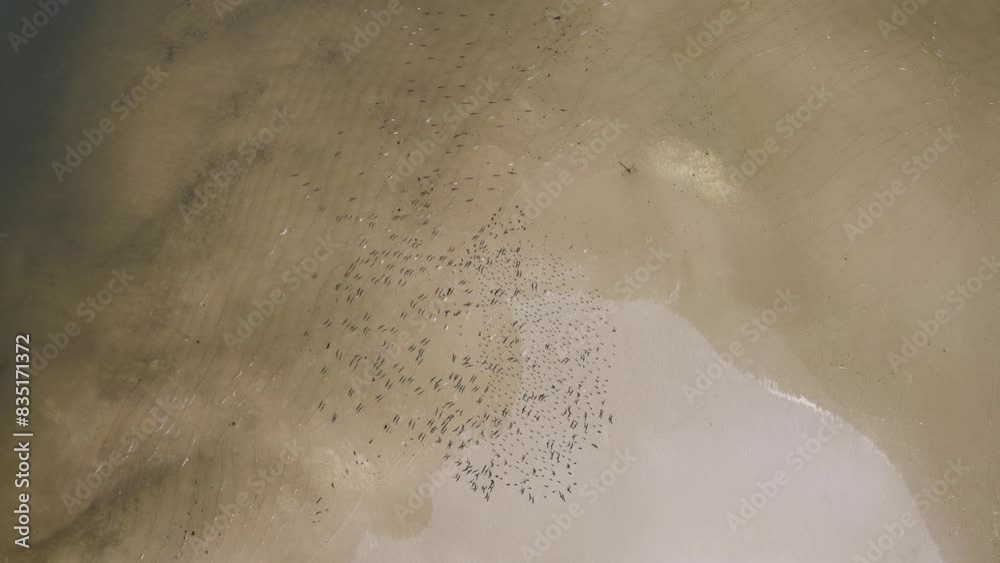 Vídeo de drone Ilha do Mel, Paranaguá, Paraná. Imagem aérea da paraia. Vídeo do mar, e do trapiche. Dia de sol na Ilha do Mel. Verão no Paraná. Praia do sul do Brasil. Vista aérea do mar e da natureza