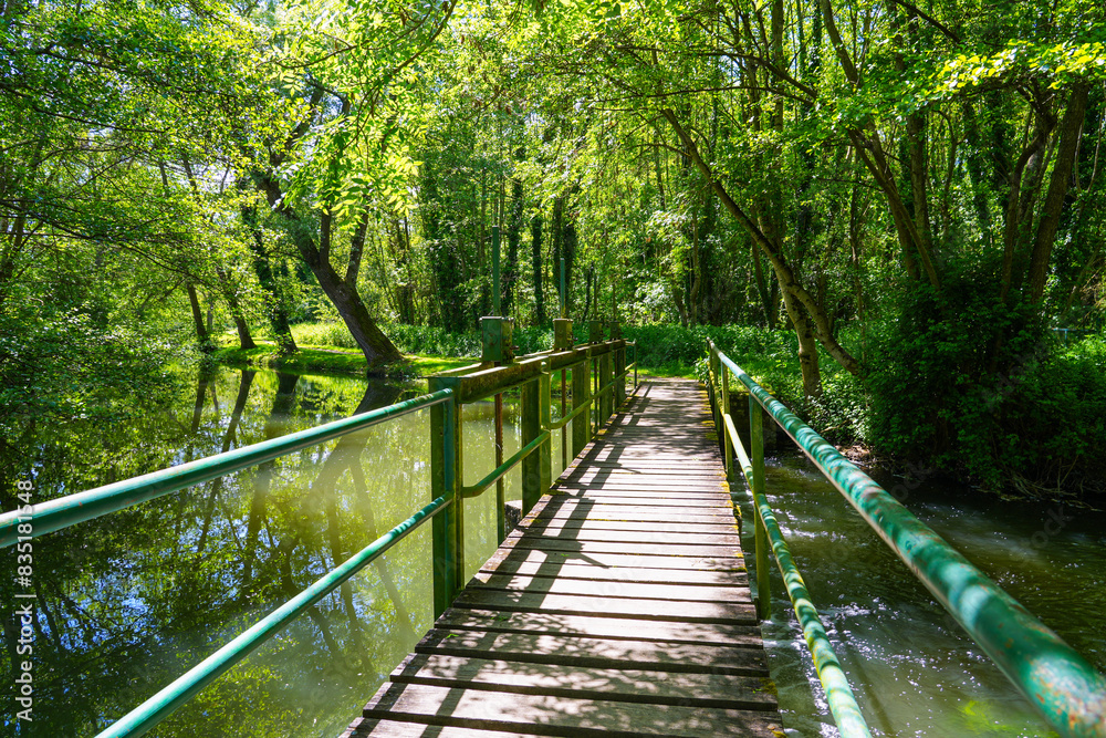 Obraz premium Footbridge spanning the Fusain river in the Parc de la Tabarderie in Château-Landon, a rural village of the Gâtinais in the French department of Seine-et-Marne, Paris Region, France