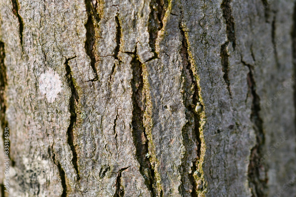 texture texture