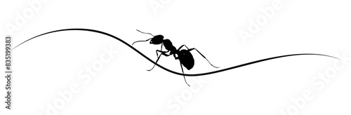 line art ant