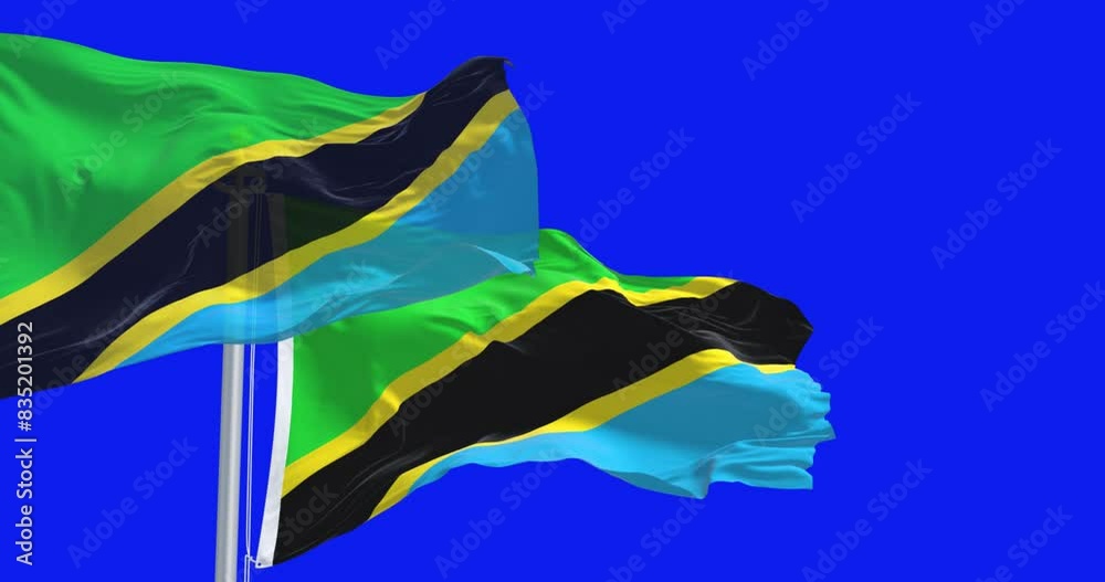 Tanzania national flags waving in the wind isolated on blue background Tanzania national flags waving in the wind isolated on blue background