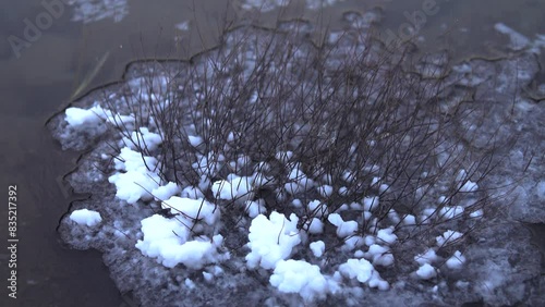 Hypersaline lake. Salt crystals were deposited around the branches of the dead shrub like ice at frosty day. photo