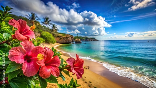 Vibrant hibiscus blooms against a backdrop of sandy beach and blue ocean on Maui, Hawaii, Hawaii, Maui, vacation, escape, tropical, flowers, blooms, hibiscus, vibrant, beach, ocean, blue photo