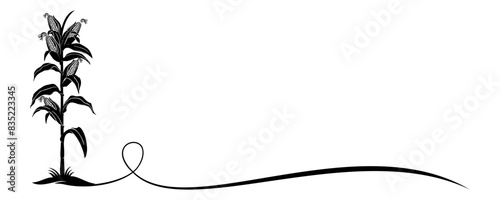 corn plant vector
