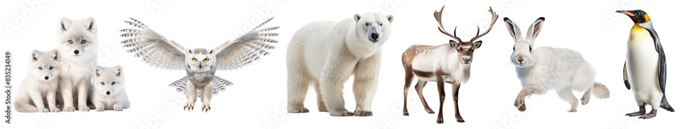 White wildlife animal png cut out element set White wildlife animal png cut out element set
