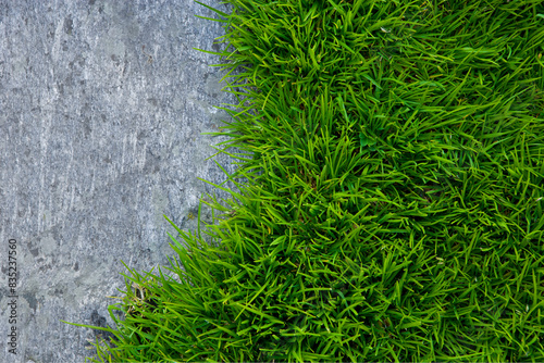 Übergang von einer Steineneren Platte zu grüner Wiese als Symbolbild für unbe...