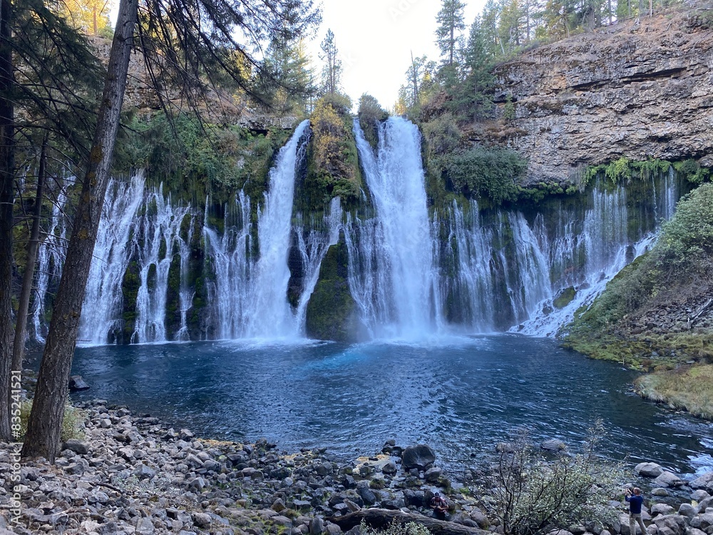 Obraz premium waterfall in the forest