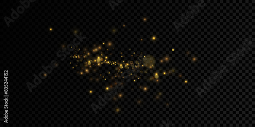 Gold sparks and golden stars glitter special light effect. Vector sparkles on transparent background. Christmas abstract.