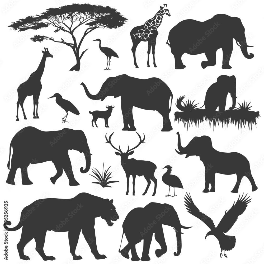 Fototapeta premium silhouette wildlife black color only