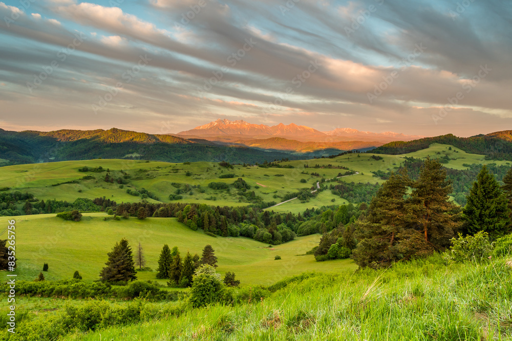 Fototapeta premium view of the Tatra Mountains from the Slovak side