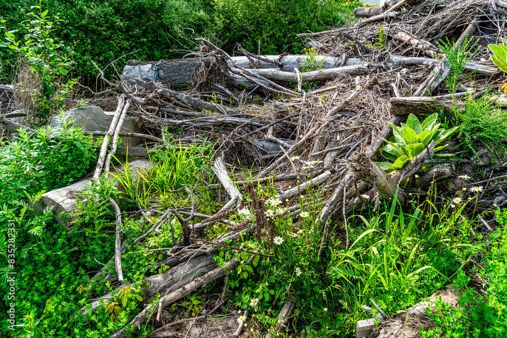 Obraz premium Kent Wood Pile 2