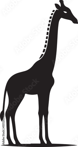 giraffe Vector