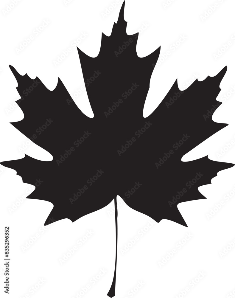 Fototapeta premium Maple leaf Silhouettes