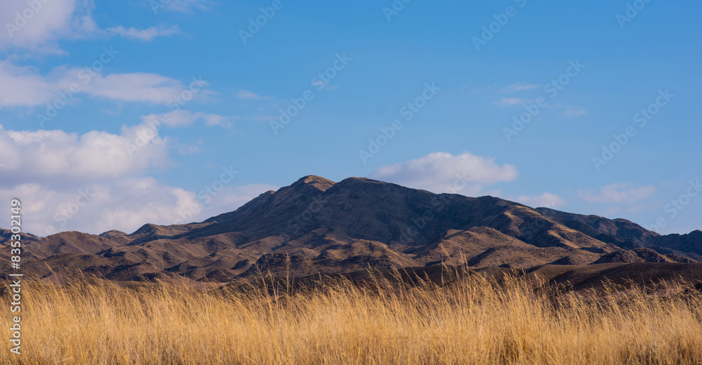 Landscape of the Tibetan Plateau. Yellow wild grass against the backdrop of a mountain range. An amazing view of a desolate plain with dry grass in the foreground and mountains in the distance.